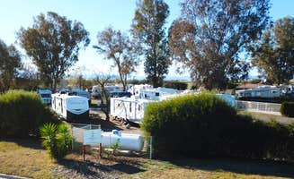 Serena F.'s photo of rv camping at Almond Tree Oasis RV Park near Alpaugh, CA
