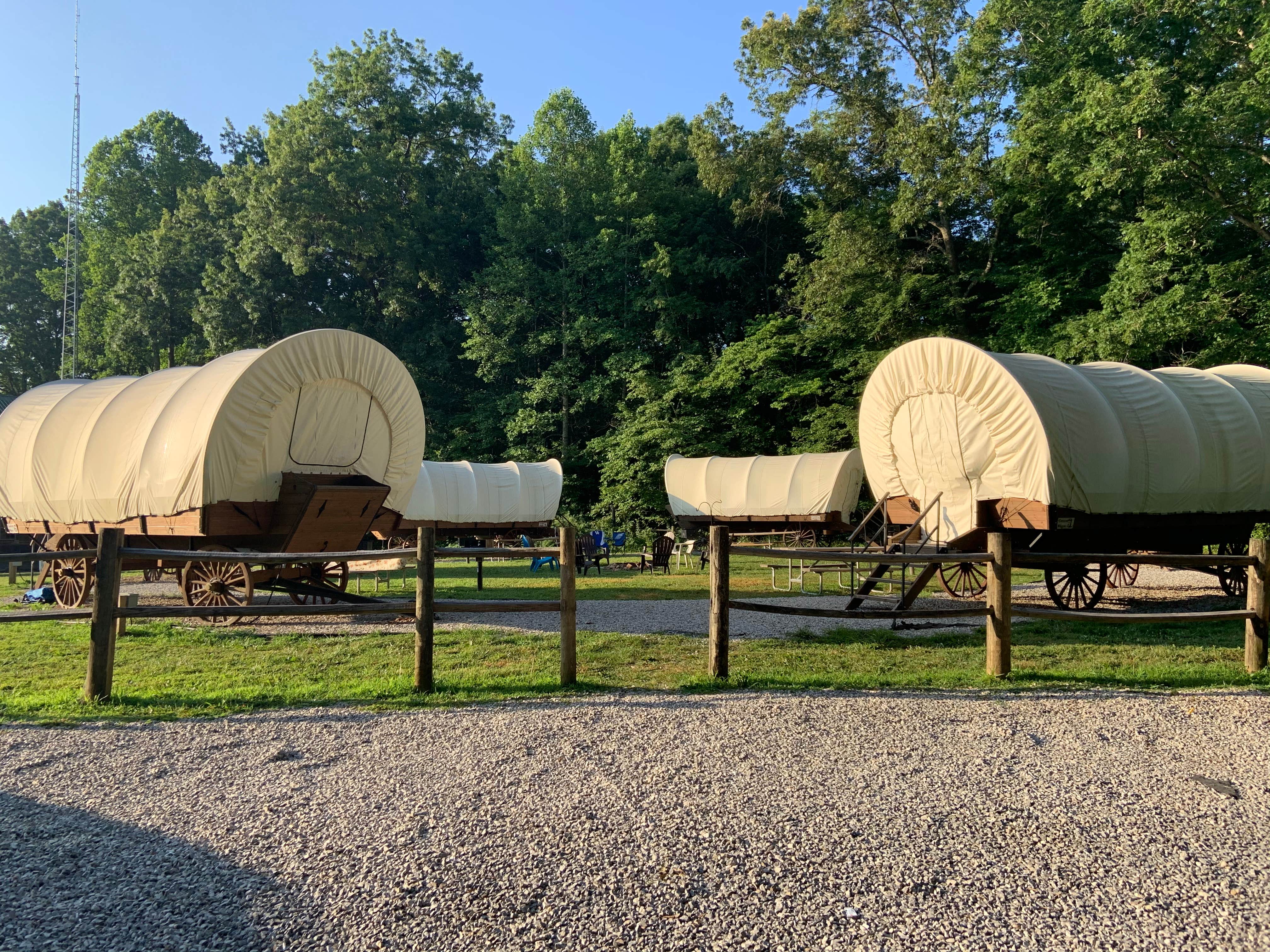 Camper submitted image from Sheltowee Trace Adventure Resort - 2