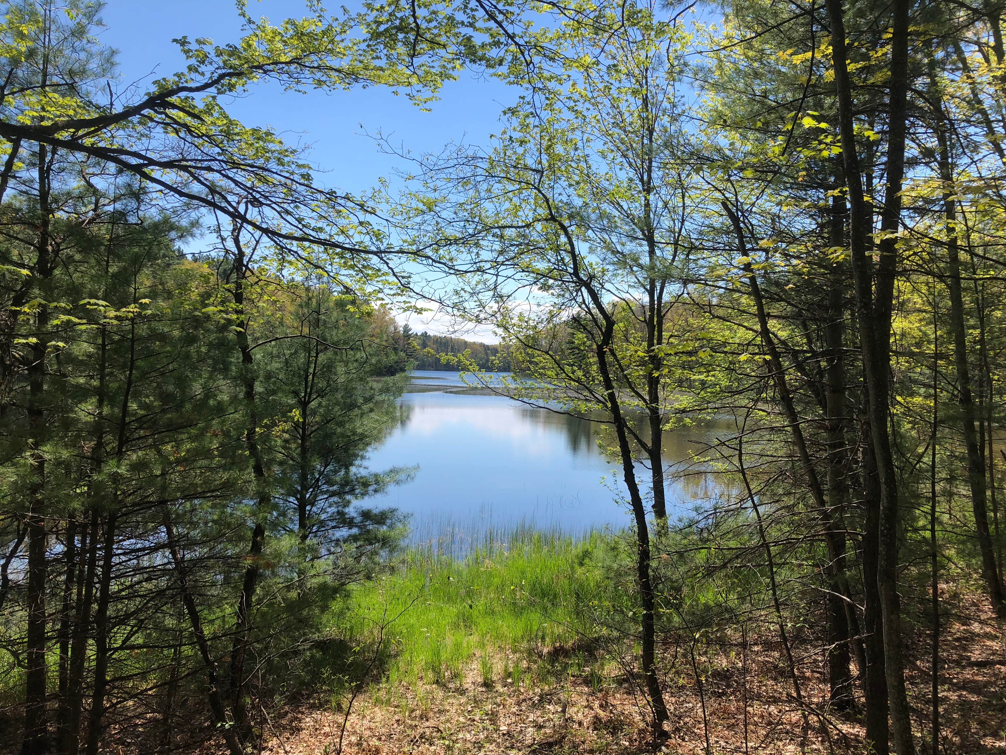 Camper submitted image from Sand Lakes Quiet Area Backcountry Campsites - 3