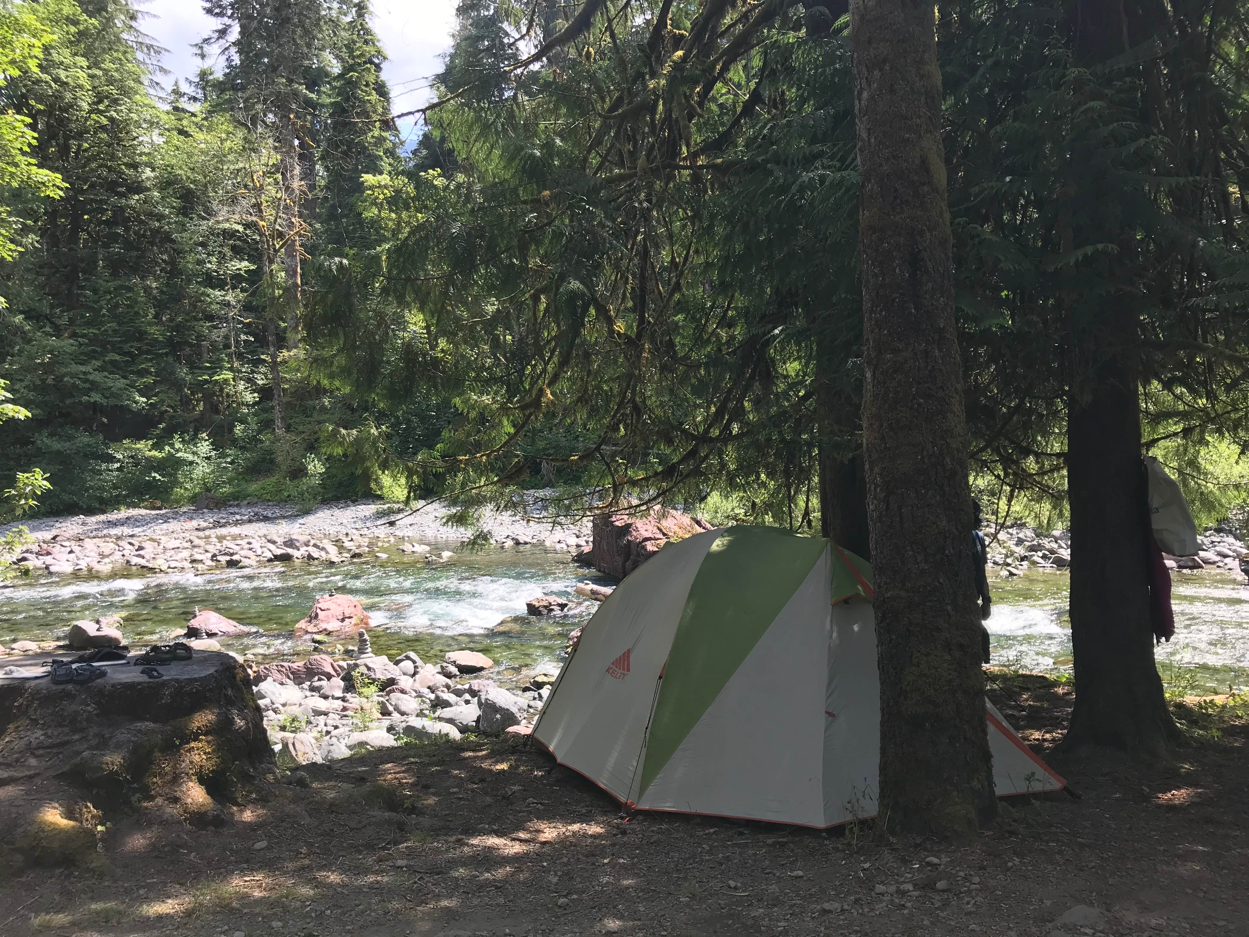 Carolyn P.'s photo at Staircase Campground - Olympic National Park near Matlock, WA