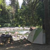 Review photo of Staircase Campground — Olympic National Park by Carolyn P., July 19, 2020