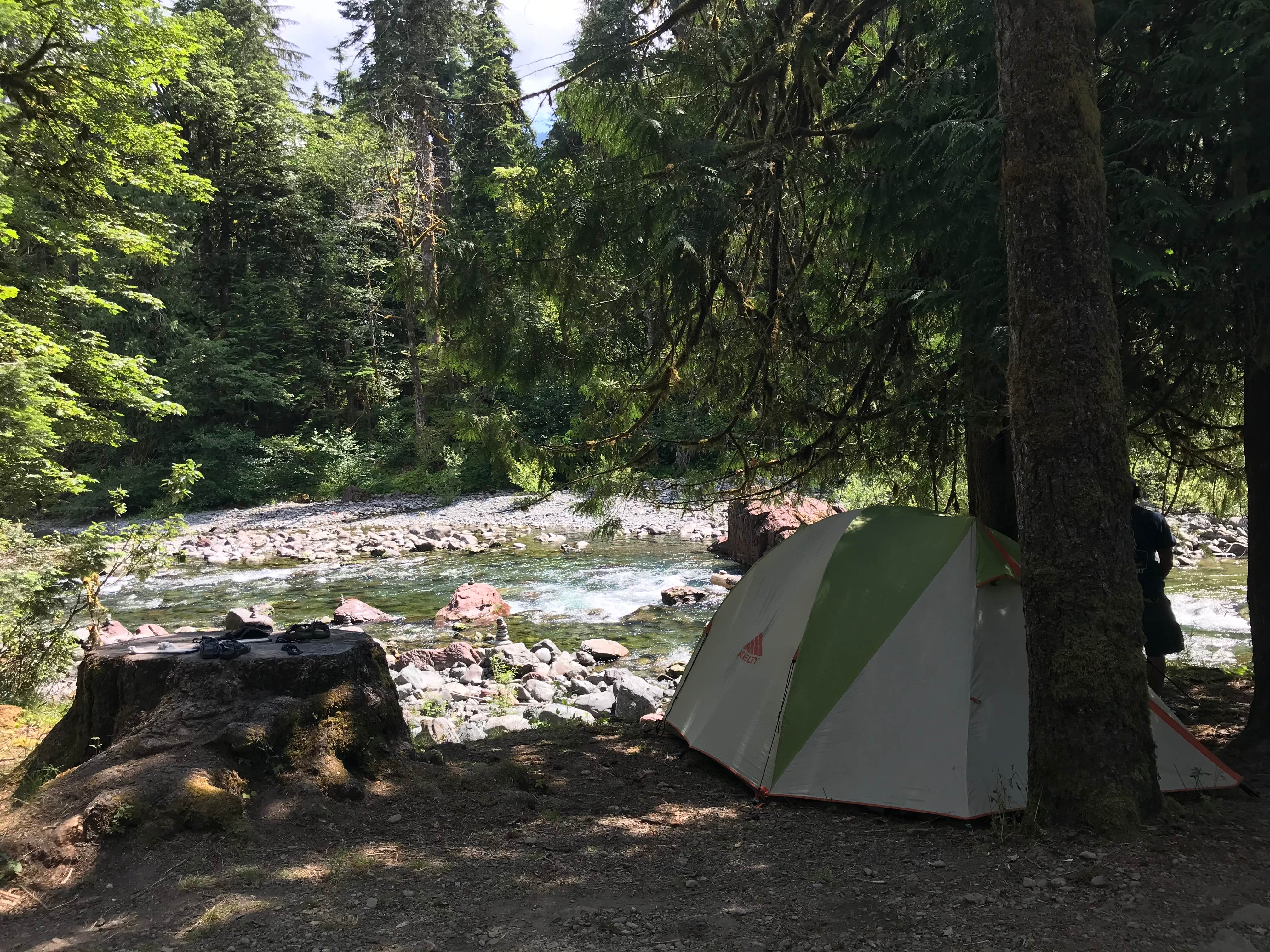 Carolyn P.'s photo at Staircase Campground — Olympic National Park near Olympic National Forest