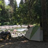 Review photo of Staircase Campground — Olympic National Park by Carolyn P., July 19, 2020