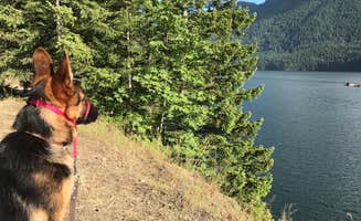 Carolyn P.'s photo of camping with pets at Staircase Campground - Olympic National Park near Olympic National Forest