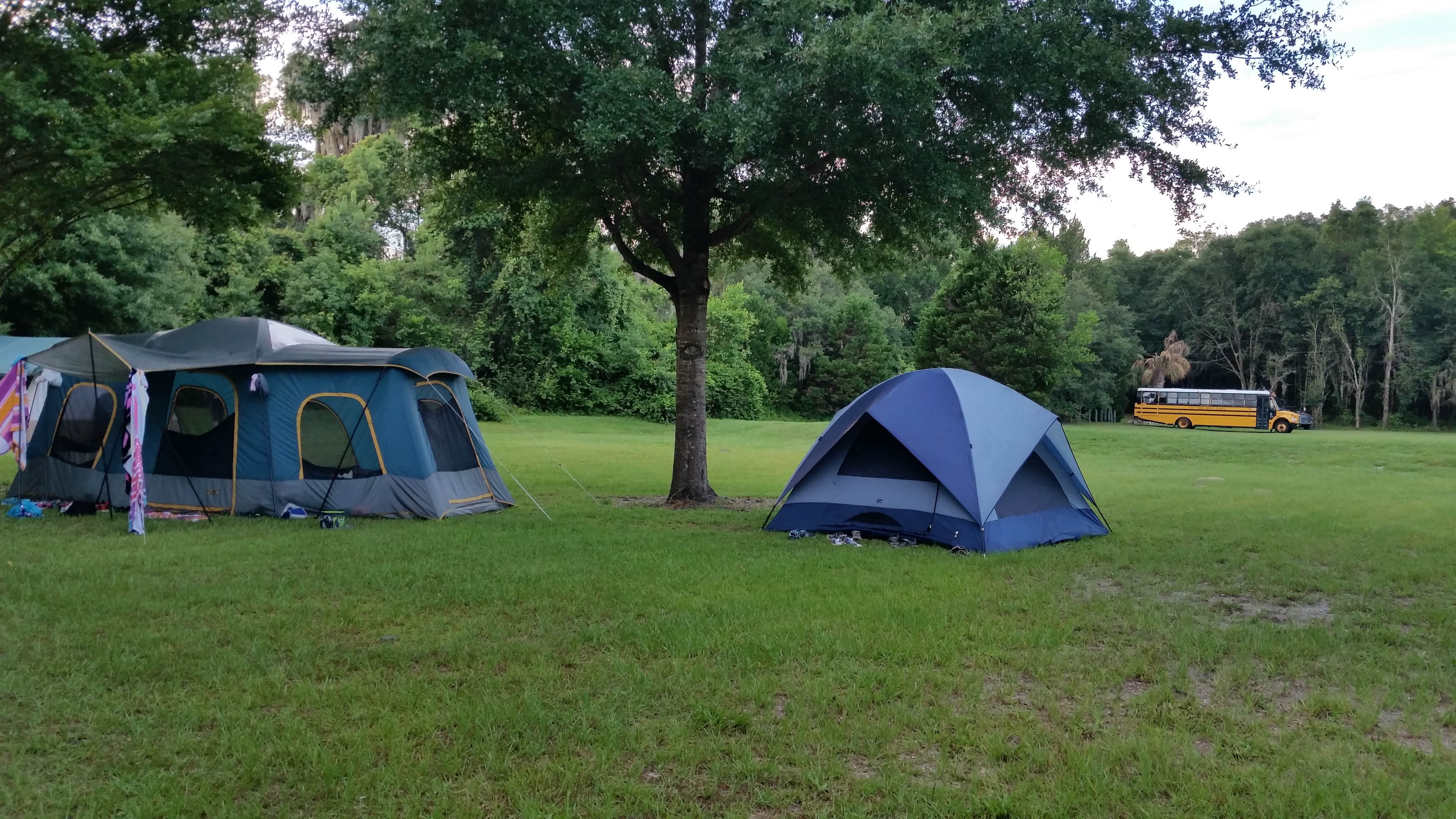 Camper submitted image from Devil's Den Spring - 3