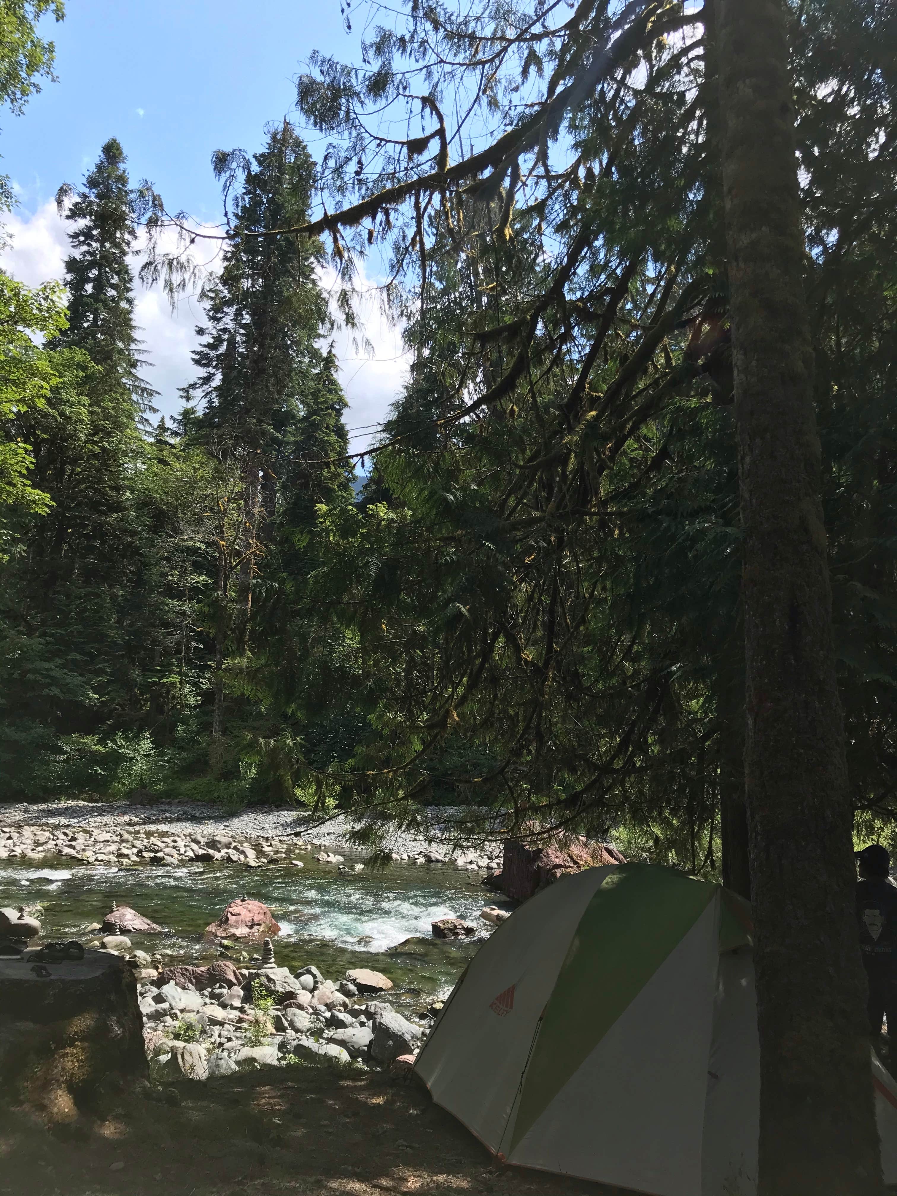 Carolyn P.'s photo at Staircase Campground — Olympic National Park near Quinault, WA
