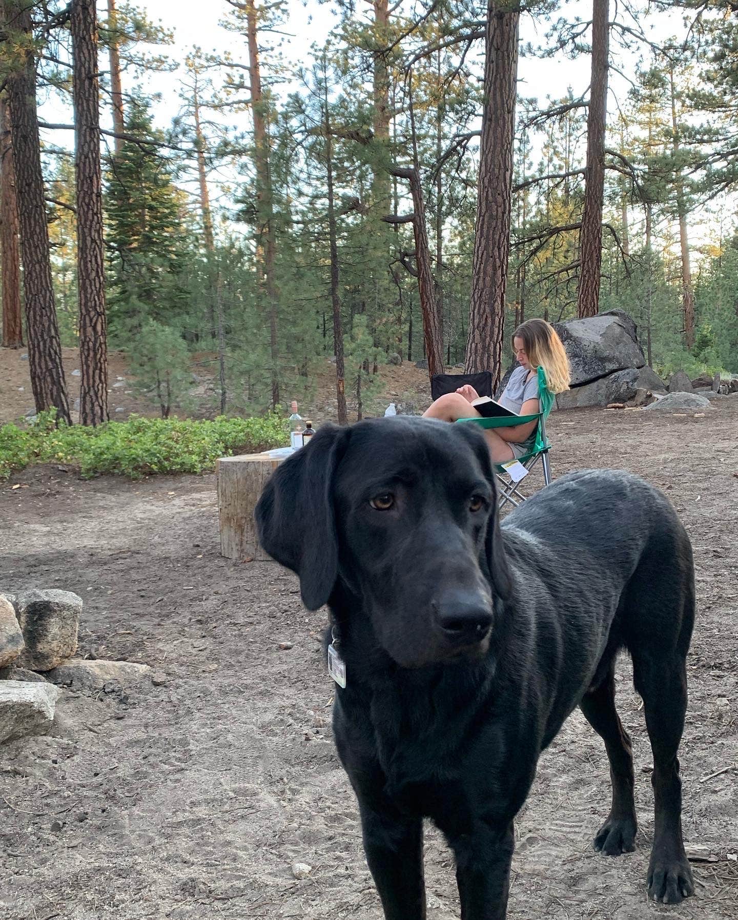 Bryce B.'s photo of camping with pets at Mono Hot Springs near Sierra National Forest