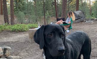 Bryce B.'s photo of camping with pets at Mono Hot Springs near Sierra National Forest