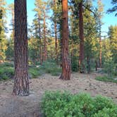 Review photo of Mono Hot Springs by Bryce B., July 19, 2020