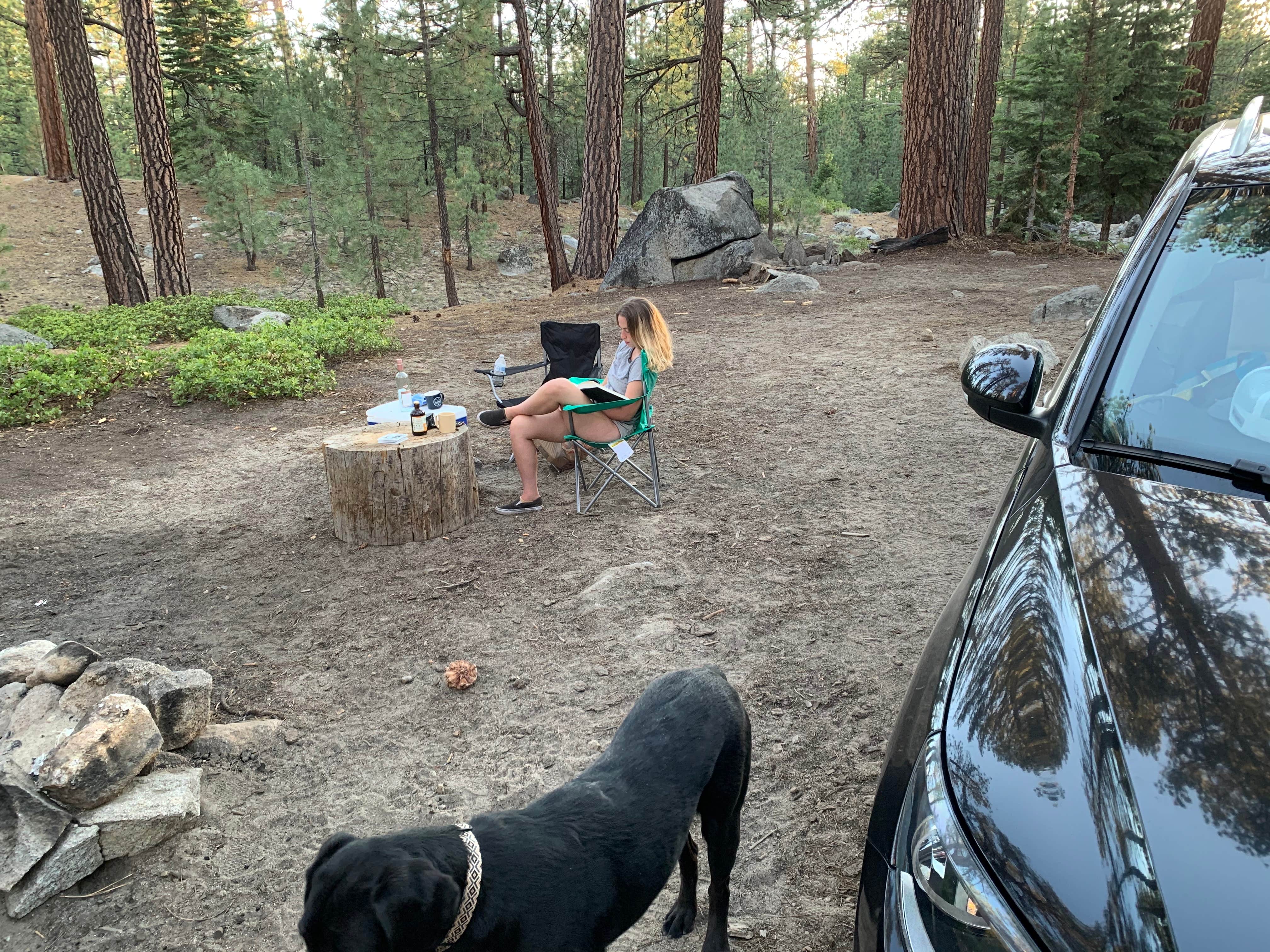 Bryce B.'s photo at Mono Hot Springs near Lakeshore, CA