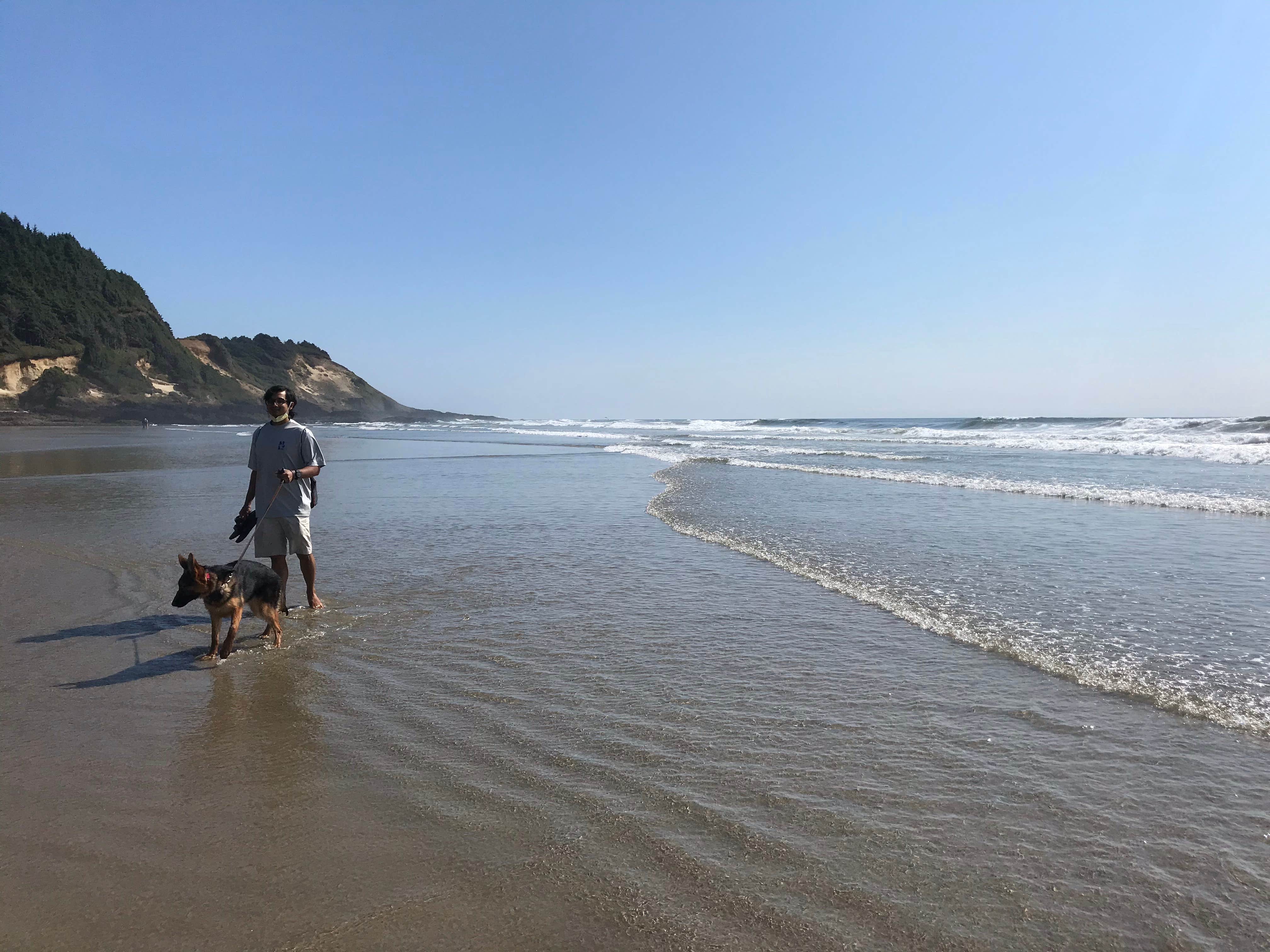 Carolyn P.'s photo of camping with pets at Cape Perpetua near Newport, OR