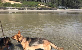 Carolyn P.'s photo of camping with pets at Cape Perpetua near Seal Rock, OR