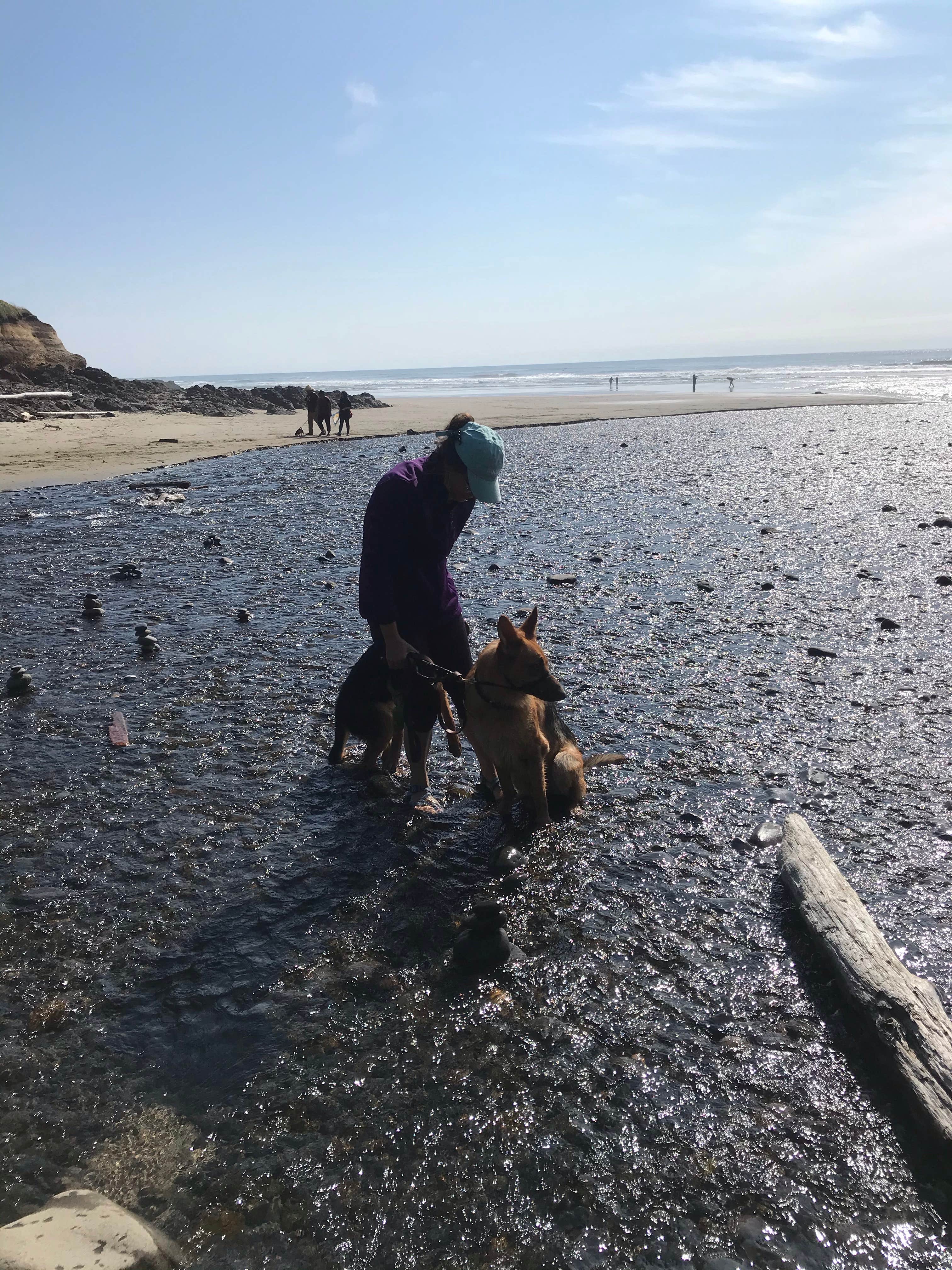 Carolyn P.'s photo of camping with pets at Cape Perpetua near Agate Beach, OR