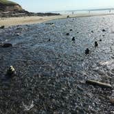 Review photo of Cape Perpetua by Carolyn P., July 19, 2020