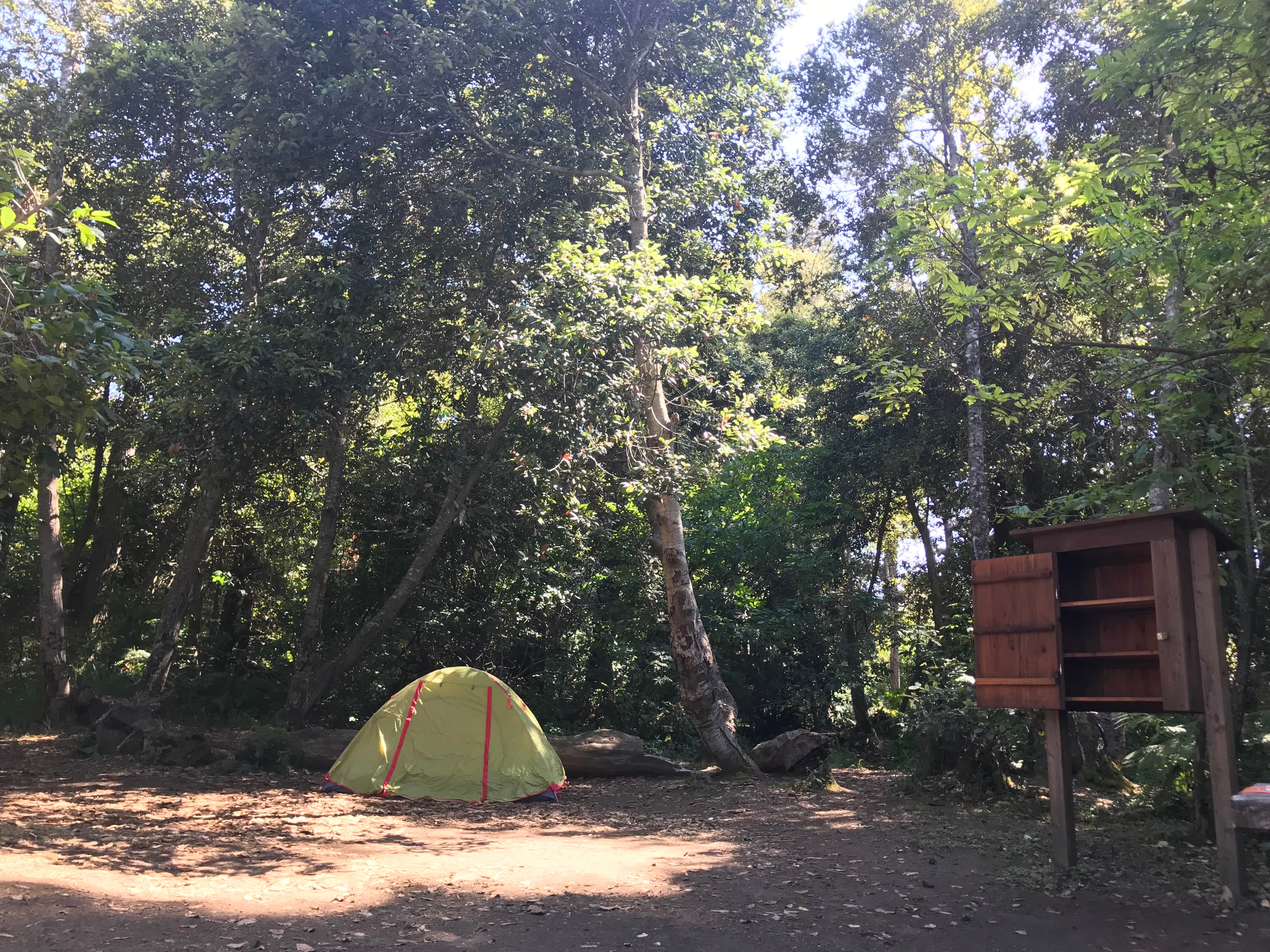 Jessica N.'s photo at Mackerricher State Park Campground near Mendocino, CA