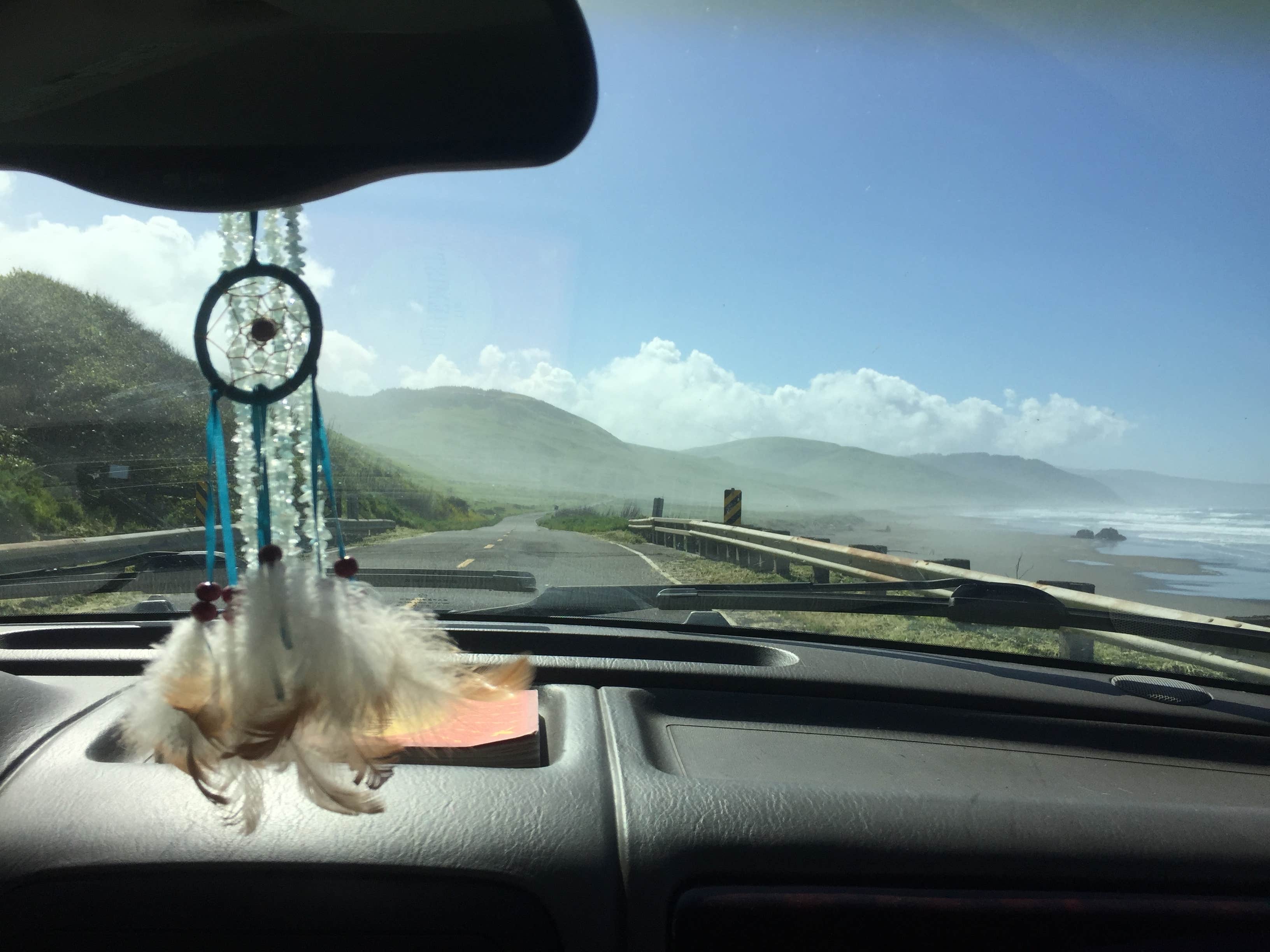 Jessica N.'s photo of camping with pets at Mattole Campground near Redcrest, CA