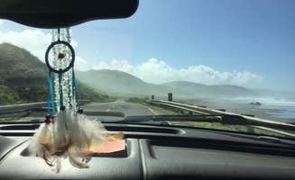 Jessica N.'s photo of camping with pets at Mattole Campground near Redcrest, CA
