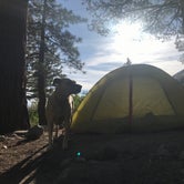 Review photo of Big Pine Creek Campground by Jessica N., July 19, 2020