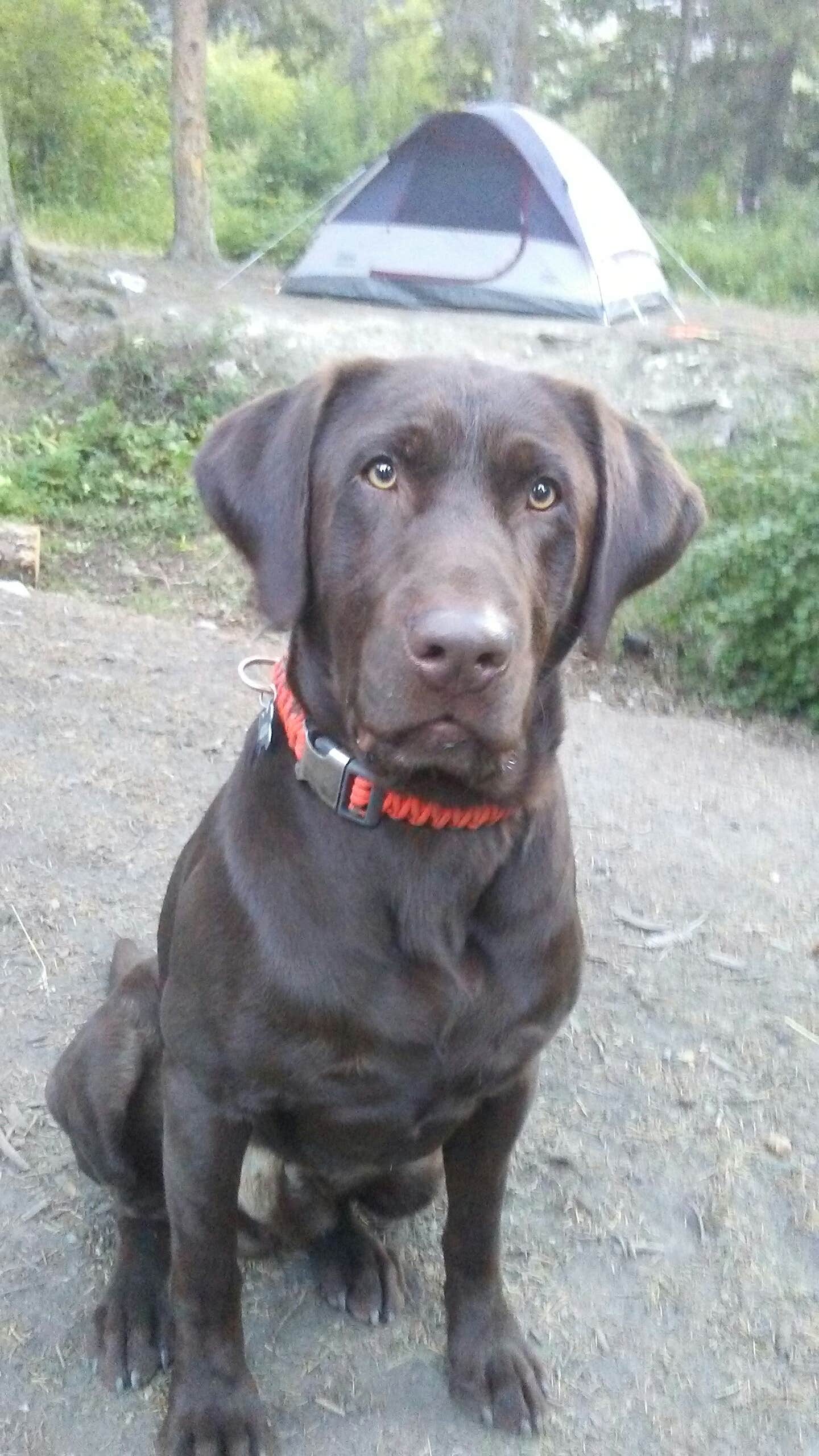Camper-submitted photo at Emerald Lake Campground near Roscoe, MT