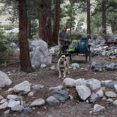 Review photo of Big Pine Creek Campground by Jessica N., July 19, 2020