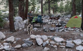 Jessica N.'s photo of camping with pets at Big Pine Creek Campground near Bishop, CA