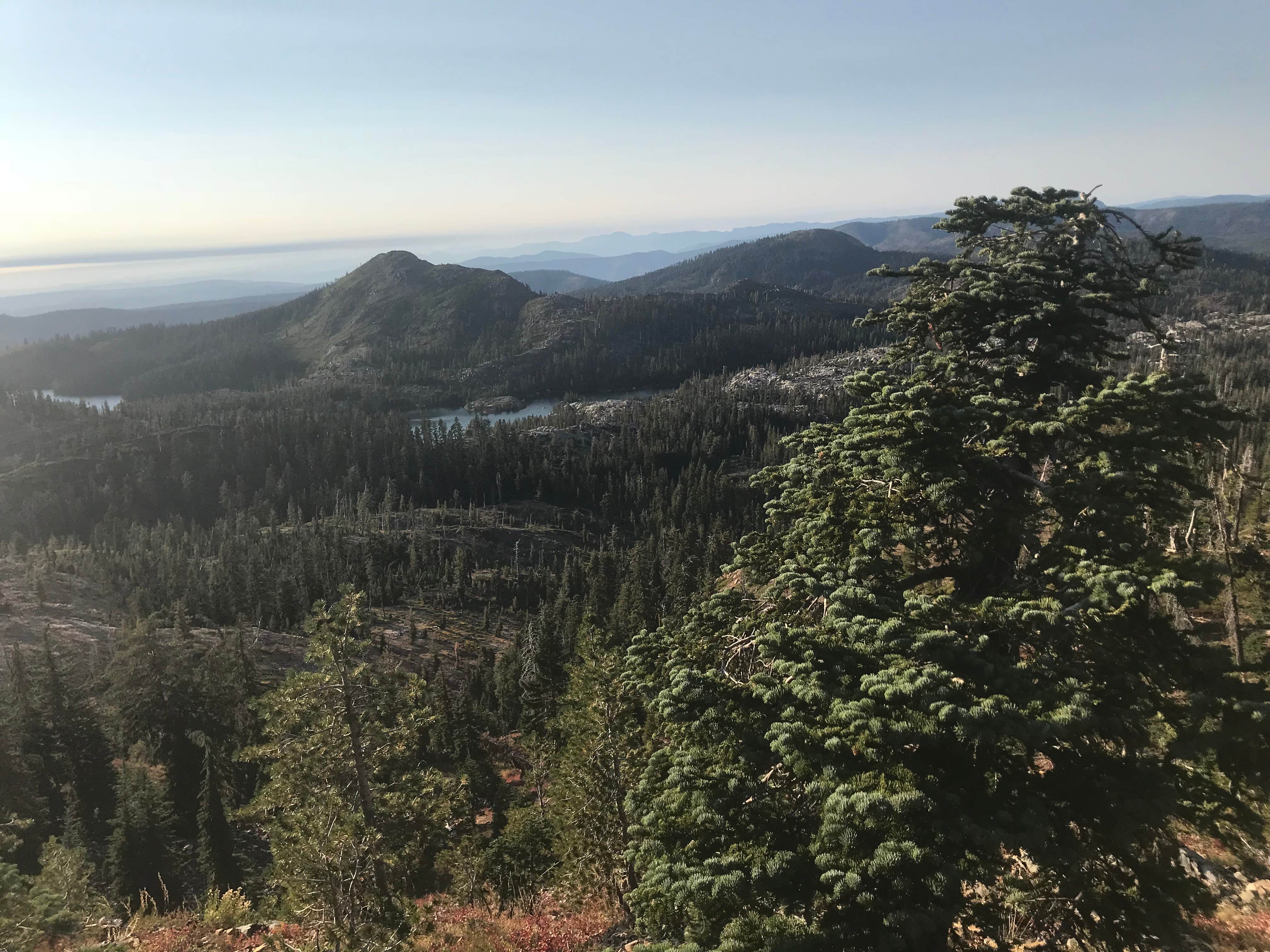 Camper-submitted photo at Grouse Ridge Campground near Washington, CA