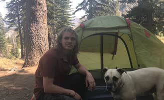Jessica N.'s photo of tent camping at Grouse Ridge Campground near Clio, CA