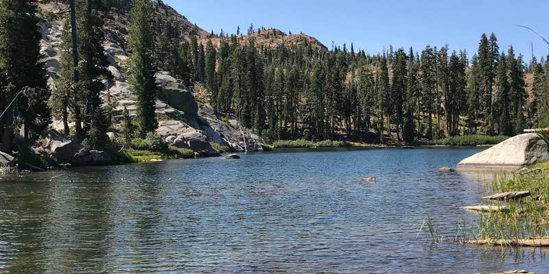 Camper submitted image from Grouse Ridge Campground