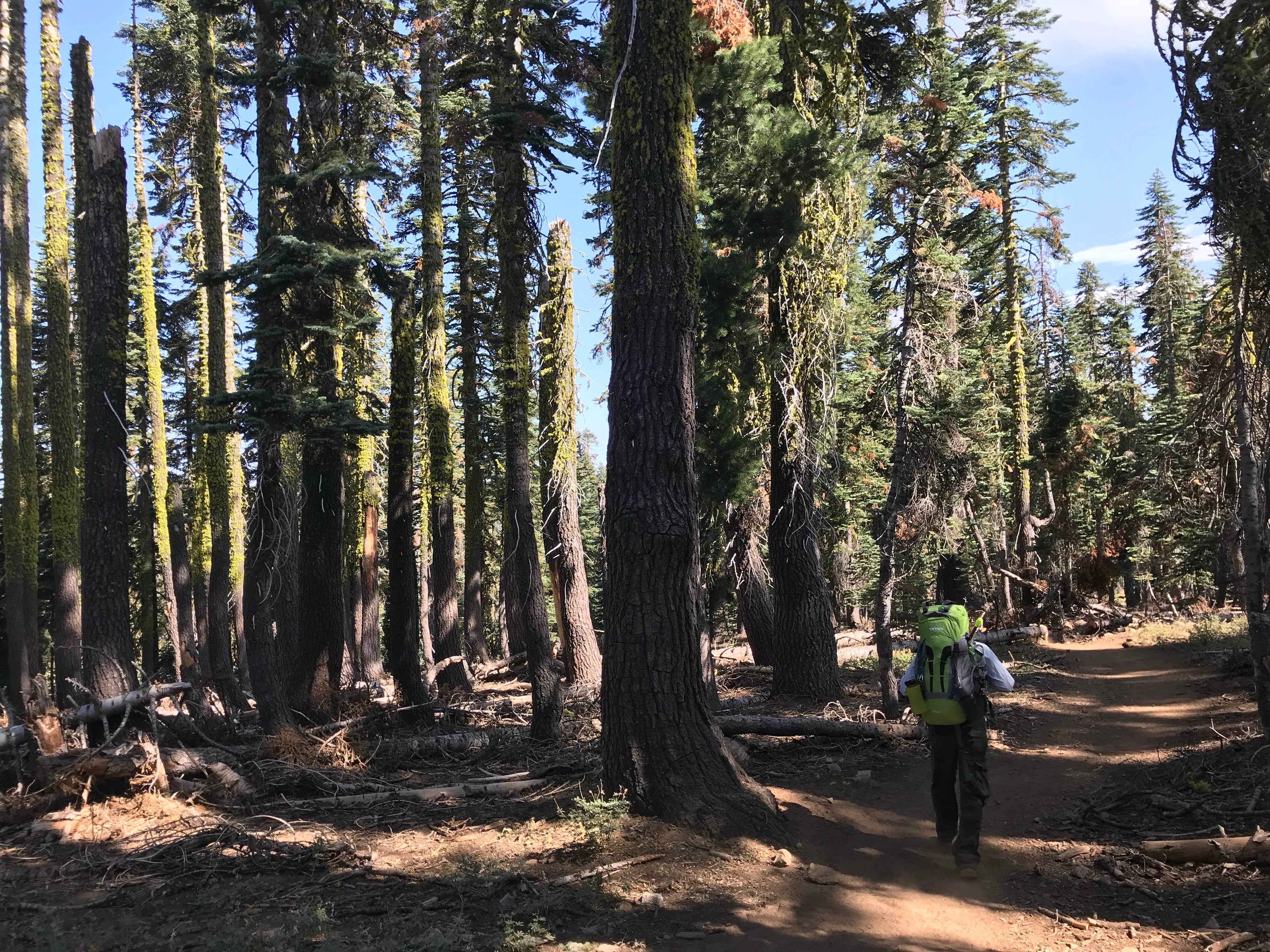 Camper submitted image from Grouse Ridge Campground - 5