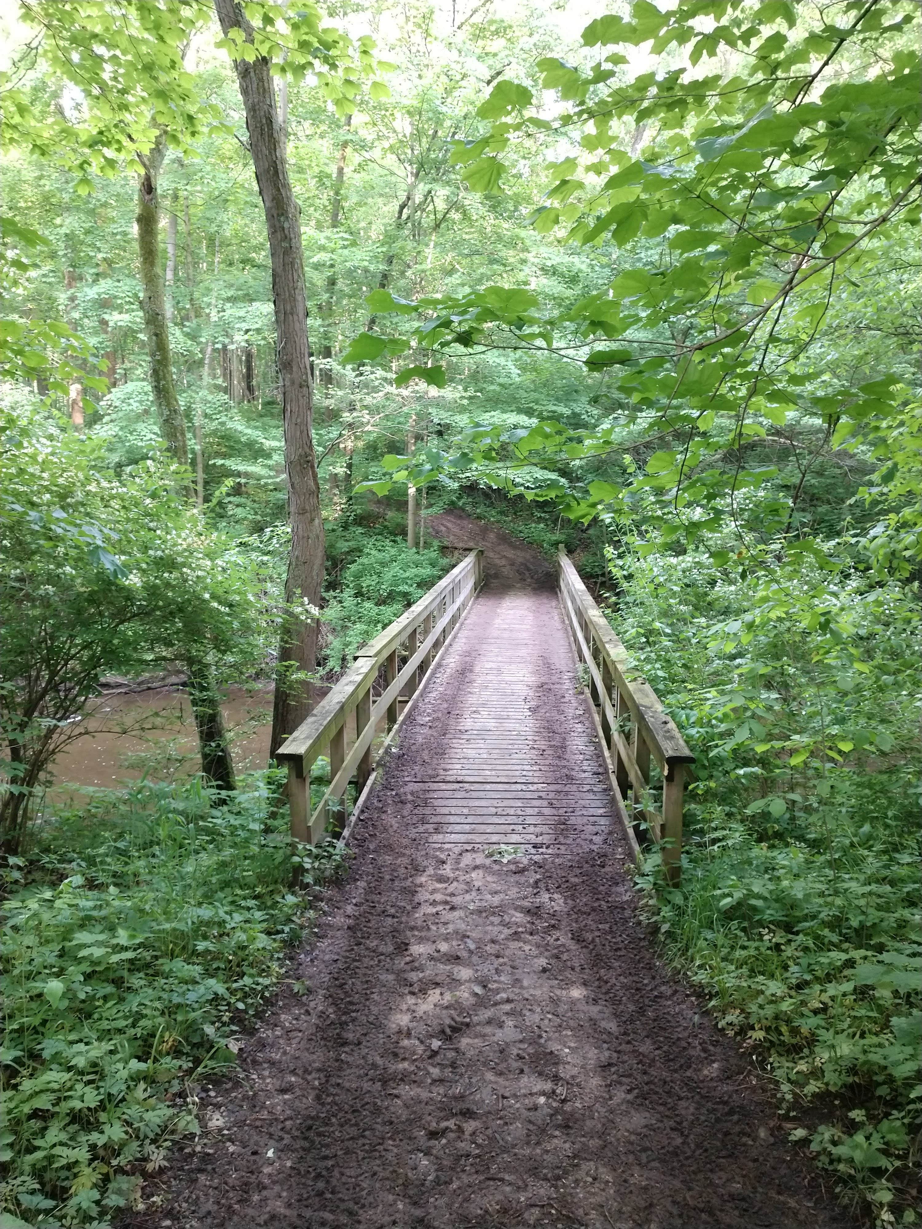 Camper-submitted photo at France Park near Monticello, IN