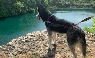 Randy A.'s photo of camping with pets at France Park near Monterey, IN
