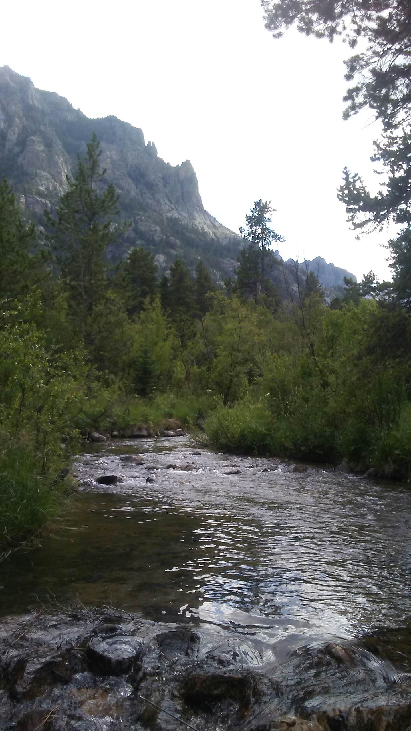 Camper-submitted photo at Emerald Lake Campground near Roscoe, MT