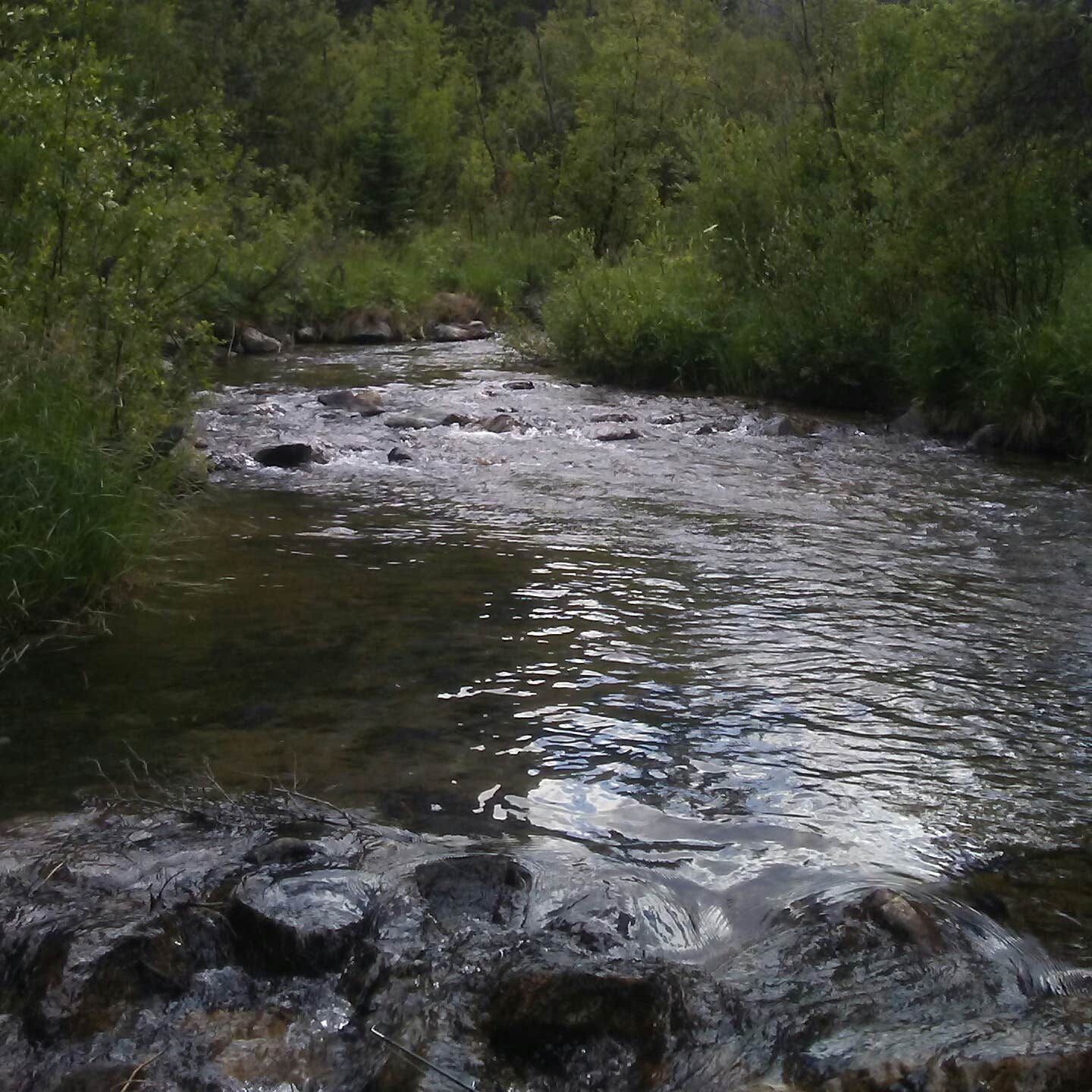 Emerald Lake Campground Camping | The Dyrt