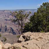 Review photo of Trailer Village RV Park — Grand Canyon National Park by Robert G., July 20, 2020