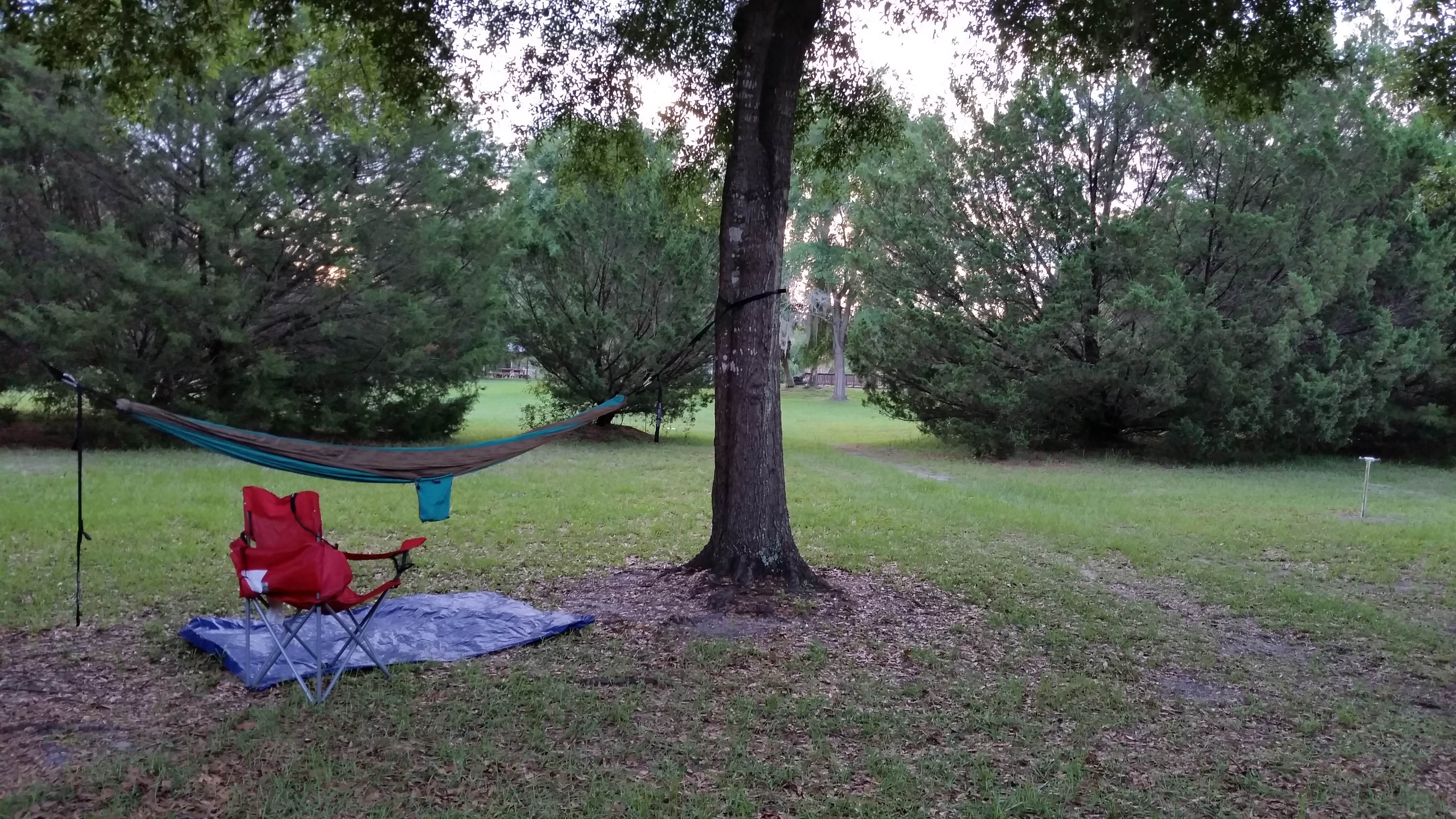 Jeanene A.'s photo at Devil's Den Spring near Gulf Hammock, FL