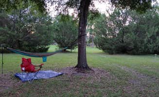 Jeanene A.'s photo at Devil's Den Spring near Reddick, FL