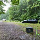 Review photo of Lyman Run State Park Campground by David , July 20, 2020