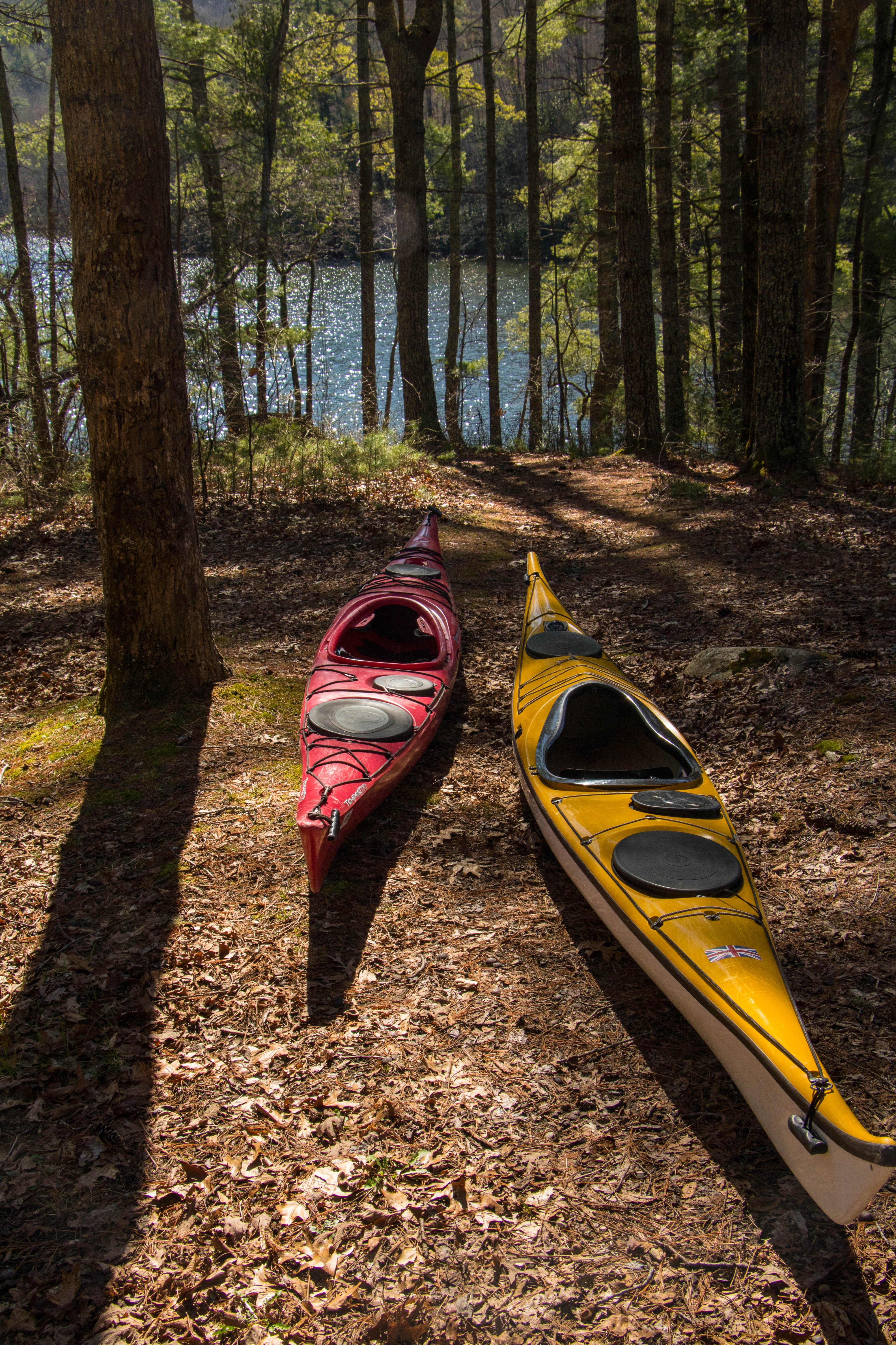 Camper submitted image from Lake Santeetlah Dispersed - 4