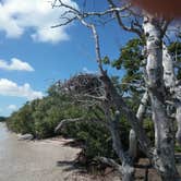 Review photo of Flamingo Campground — Everglades National Park by Delsy R., July 20, 2020