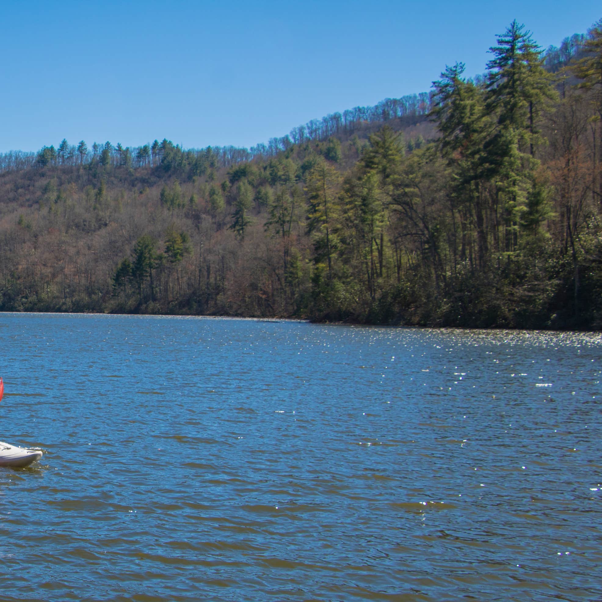 Lake Santeetlah Dispersed Camping The Dyrt