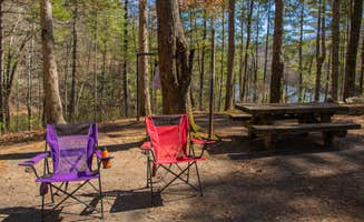 Shari G.'s photo at Lake Santeetlah Dispersed near Croatan National Forest
