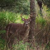 Review photo of Hunting Island State Park Campground by Brock D., July 20, 2020