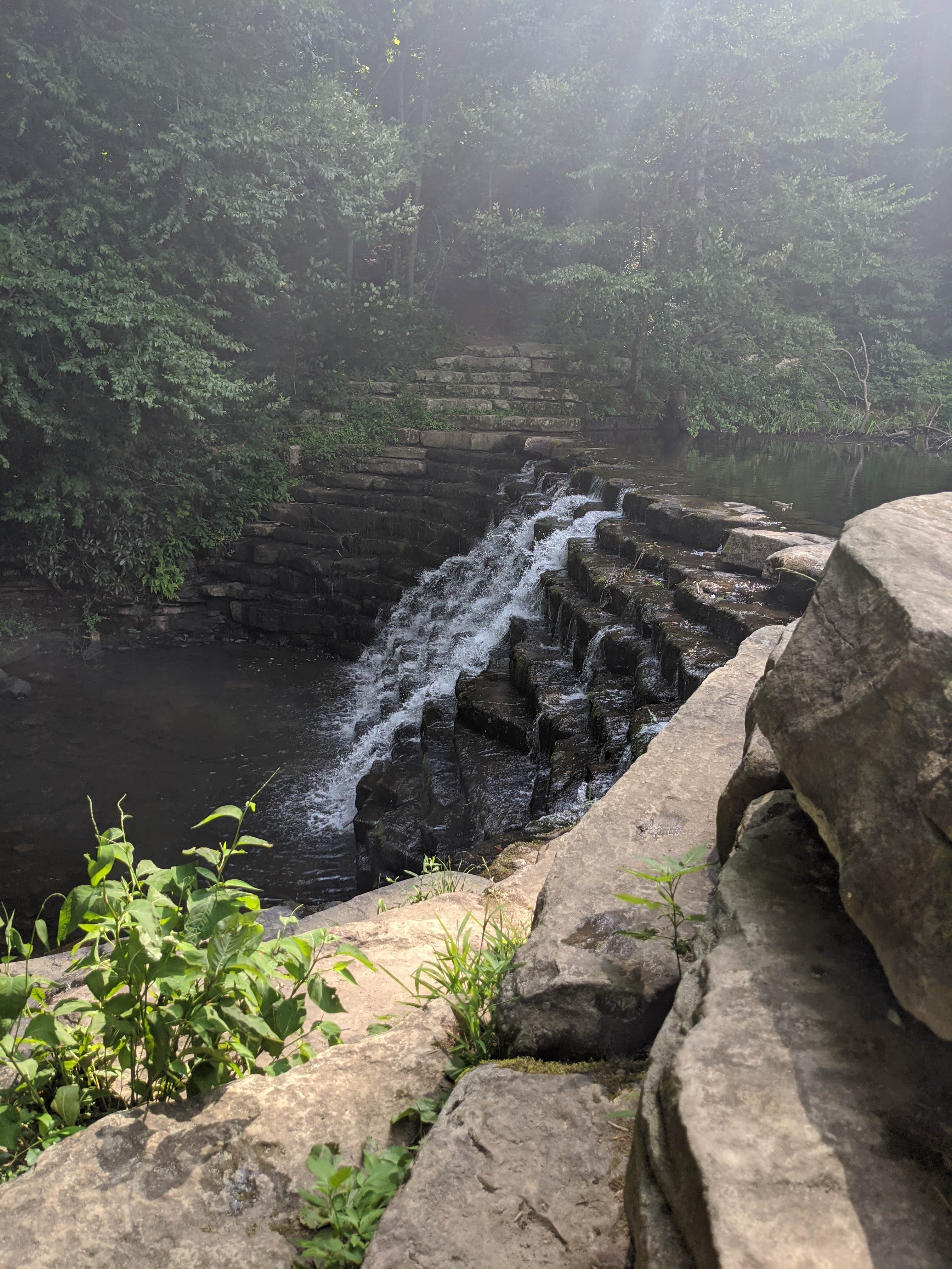 Camper submitted image from Laurel Hill State Park Campground - 1