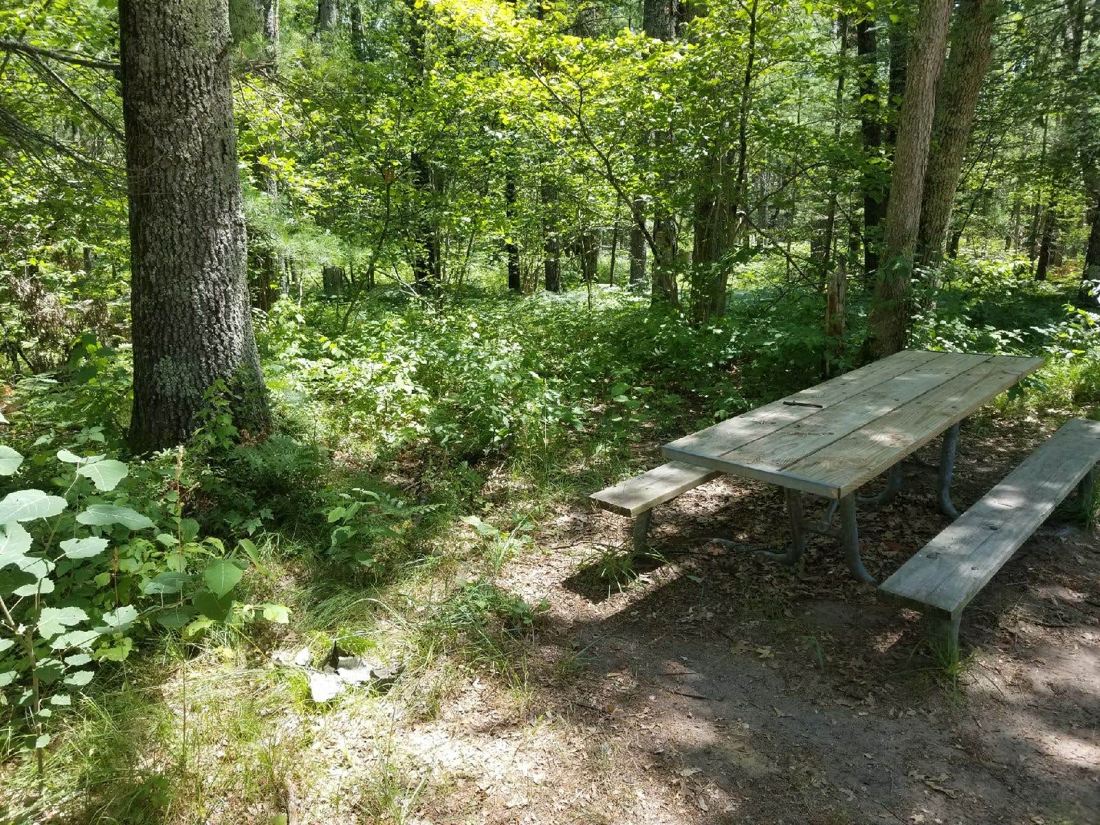 Camper-submitted photo at Bowman Lake Campground near Hesperia, MI