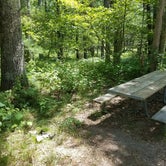 Review photo of Bowman Lake Campground by Josh D., July 20, 2020