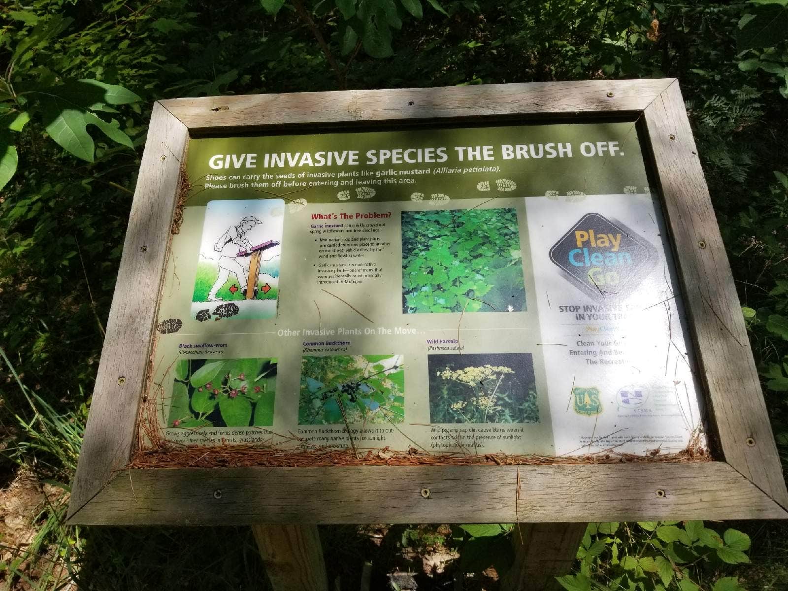 Camping near Sulak Campground: Bowman Lake Campground, Baldwin, Michigan