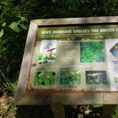 Review photo of Bowman Lake Campground by Josh D., July 20, 2020