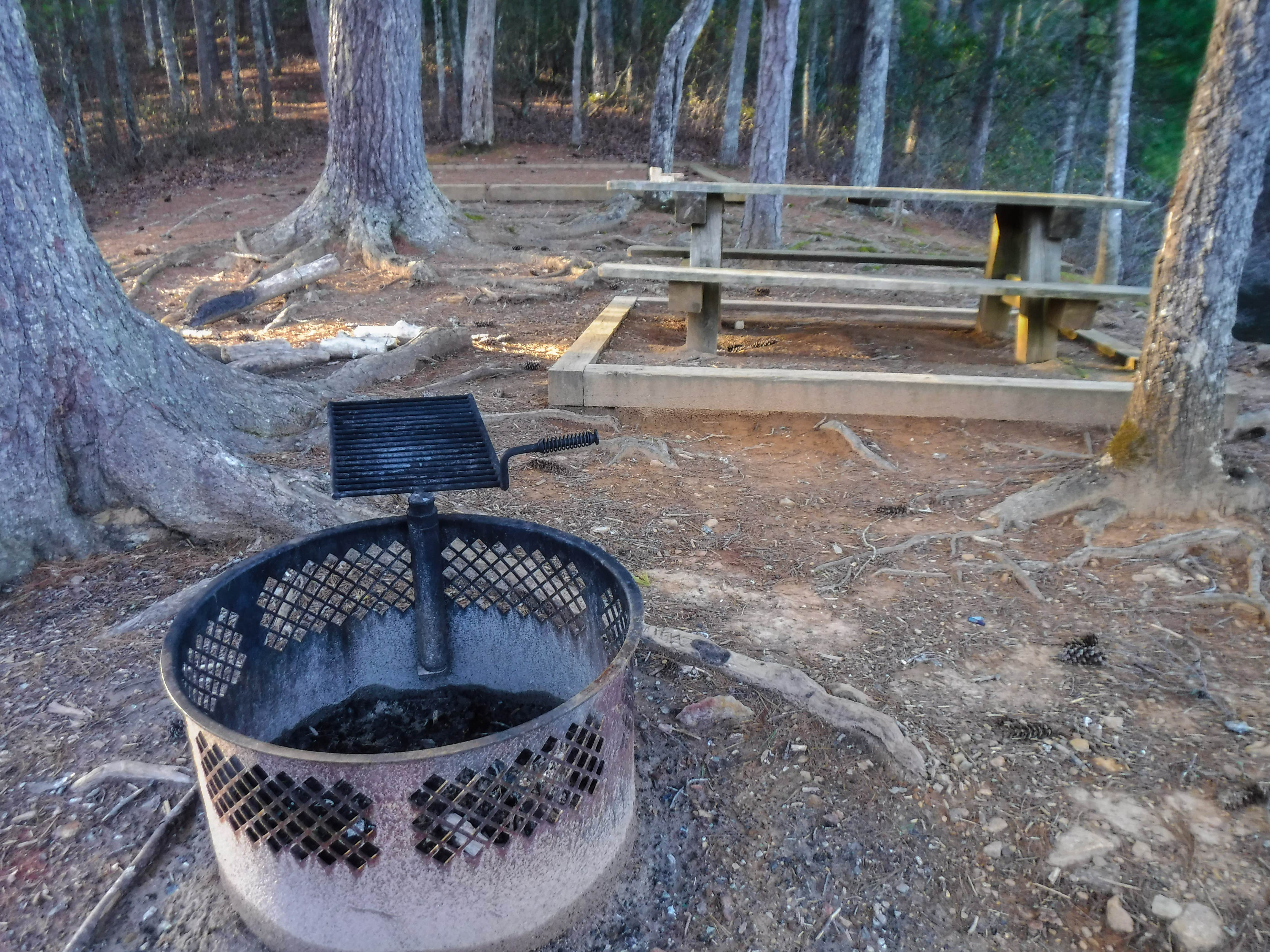 Lake Santeetlah Dispersed