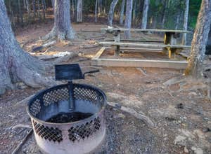 Lake Santeetlah Dispersed