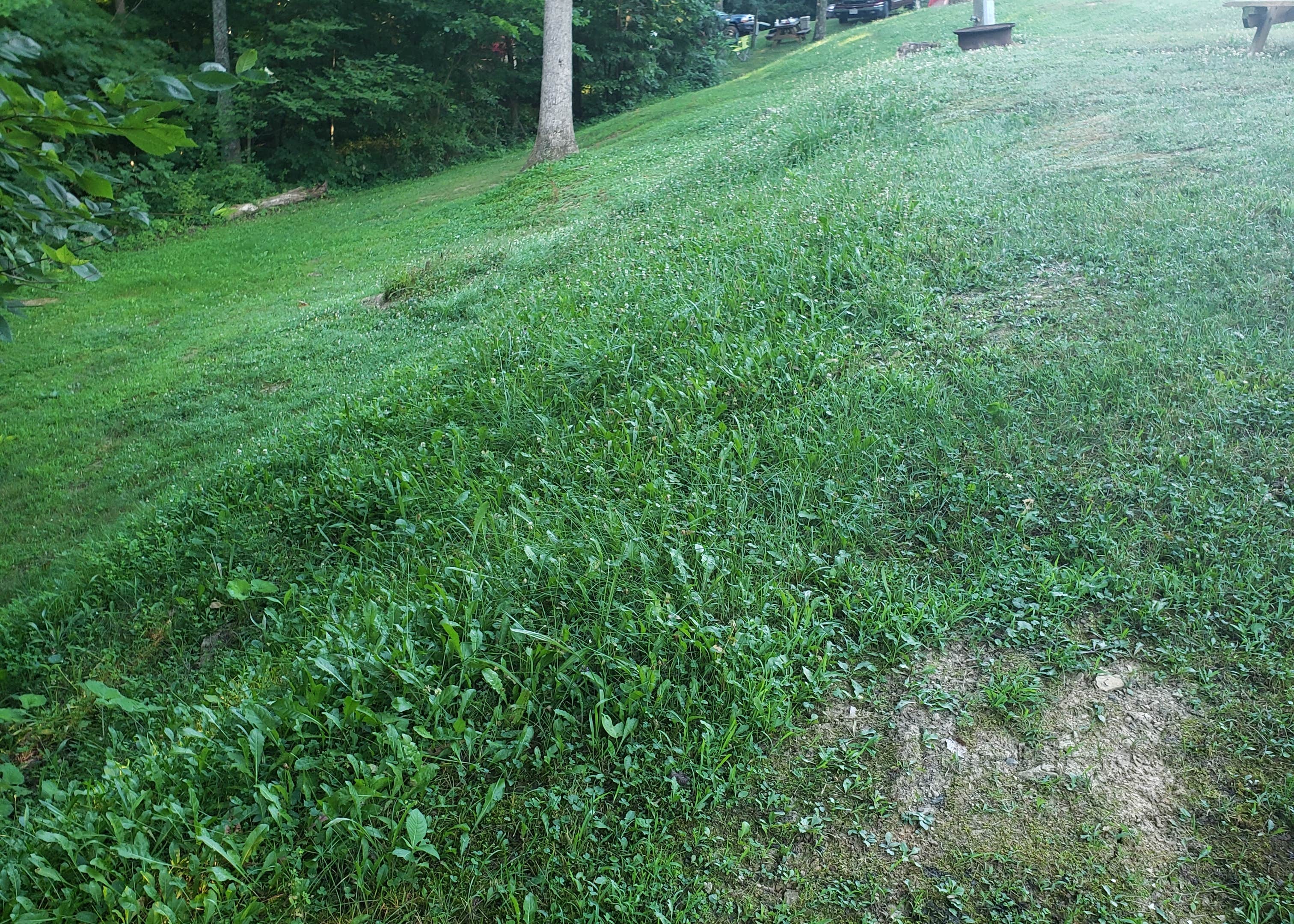 Rocky Fork Ranch Resort Camping The Dyrt